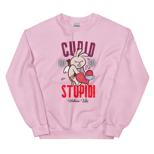Cupid's Stupid Sweatshirt